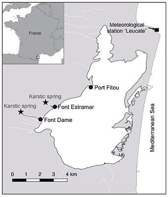 Enhanced Growth Rates of the Mediterranean Mussel in a Coastal Lagoon Driven by Groundwater Inflow